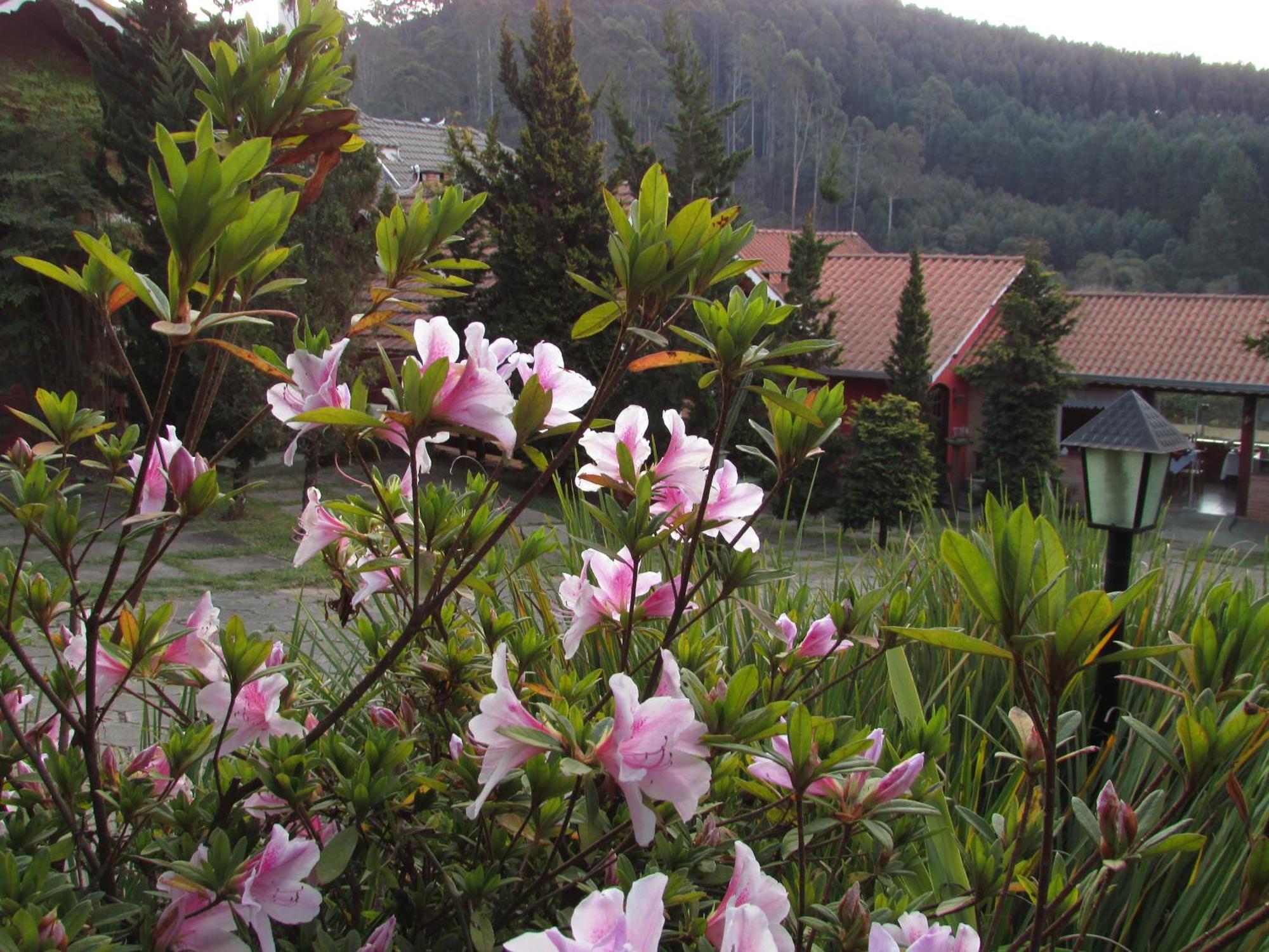 Pousada Flores Da Serra Monte Verde  Exterior photo